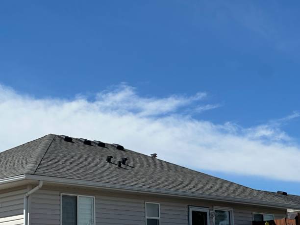 Best Chimney Flashing Repair  in Speers, PA
